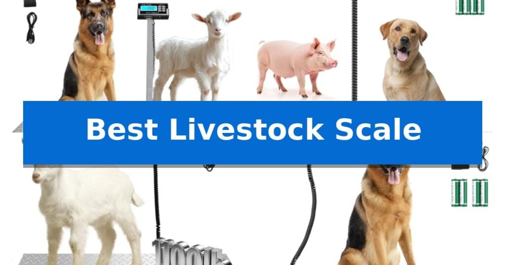 Best Livestock Scale