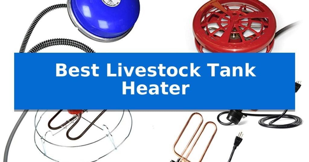 Best Livestock Tank Heater