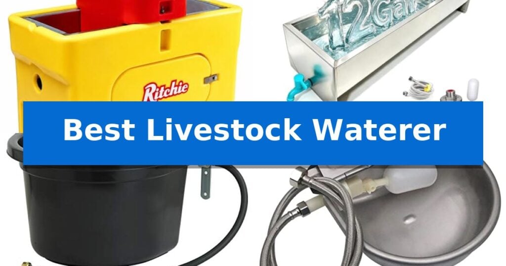 Best Livestock Waterer