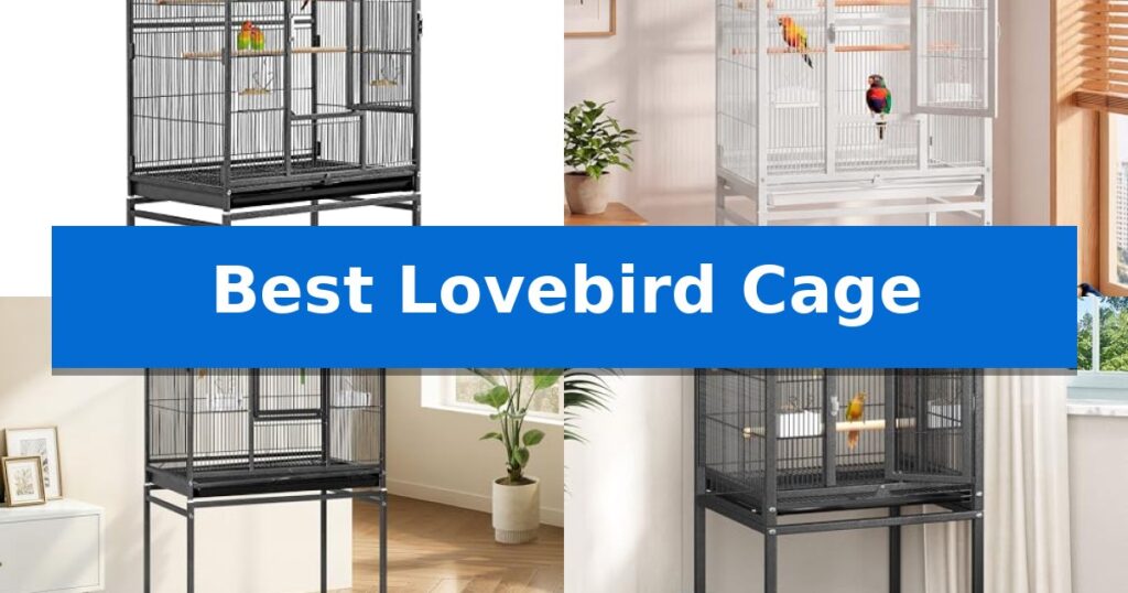 Best Lovebird Cage