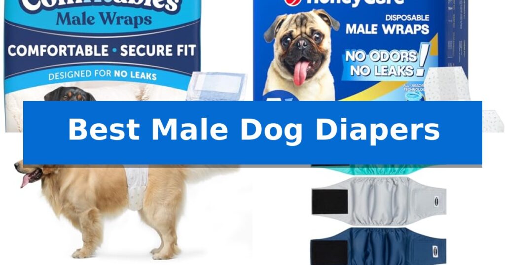 Best Male Dog Diapers