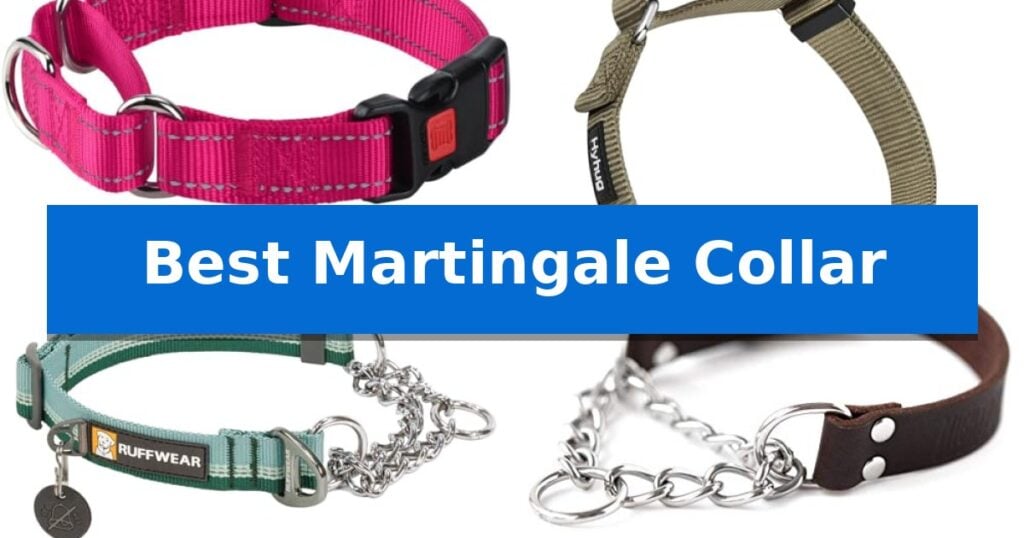 Best Martingale Collar