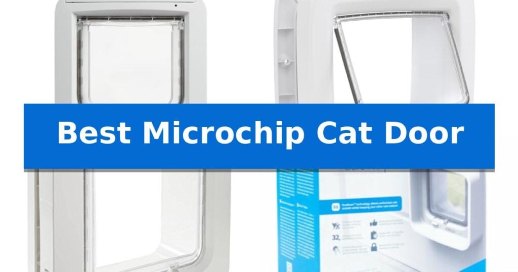 Best Microchip Cat Door