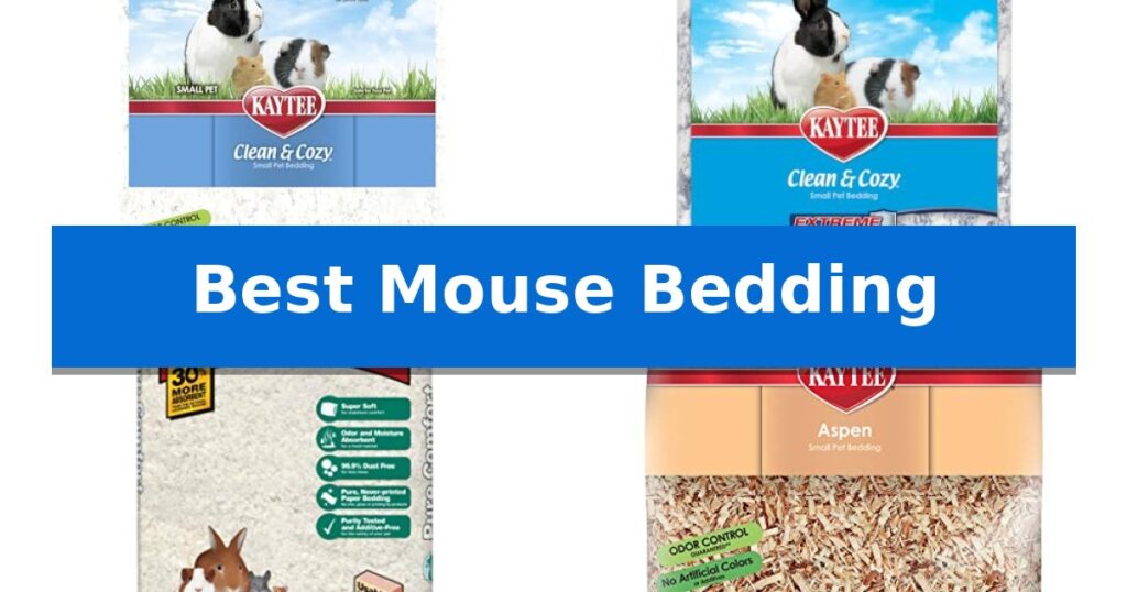Best Mouse Bedding