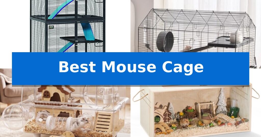 Best Mouse Cage