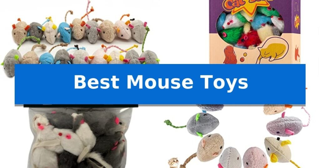 Best Mouse Toys