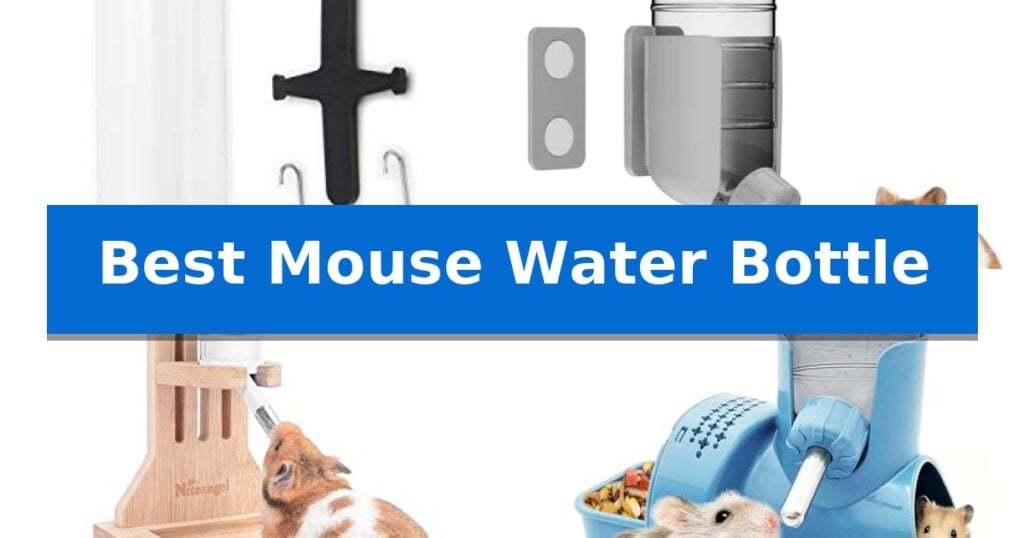 Best Mouse Water Bottle