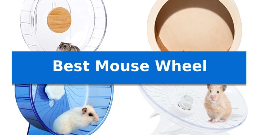 Best Mouse Wheel