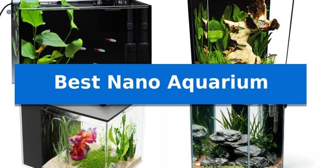 Best Nano Aquarium