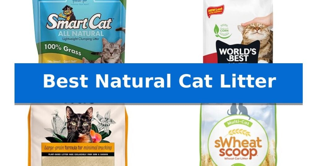 Best Natural Cat Litter