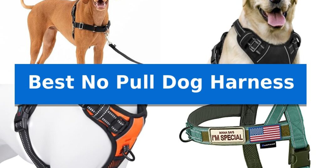 Best No Pull Dog Harness
