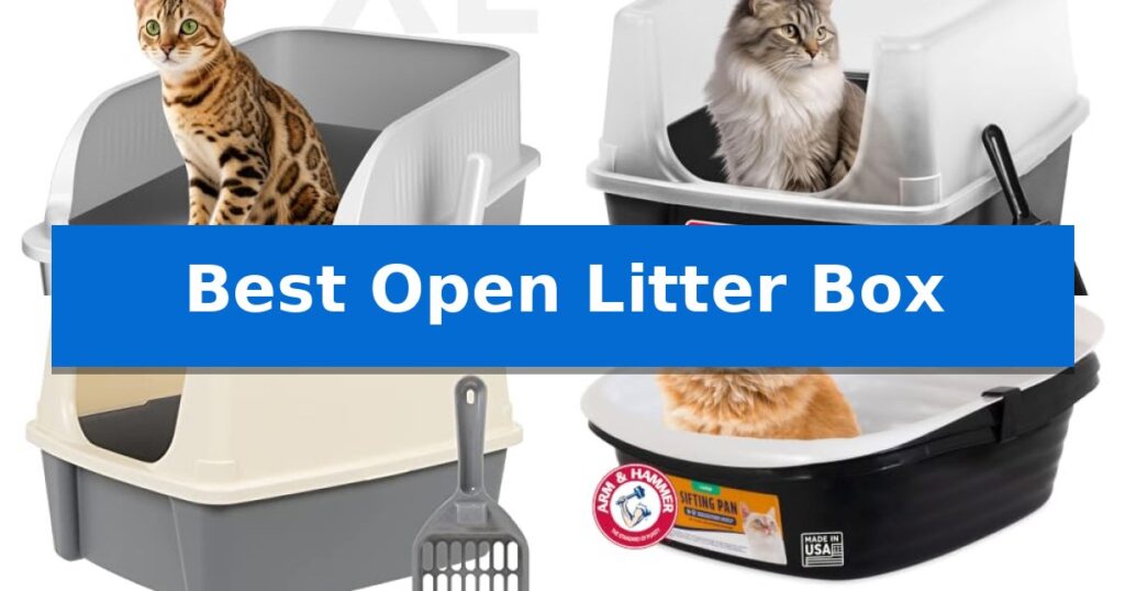 Best Open Litter Box