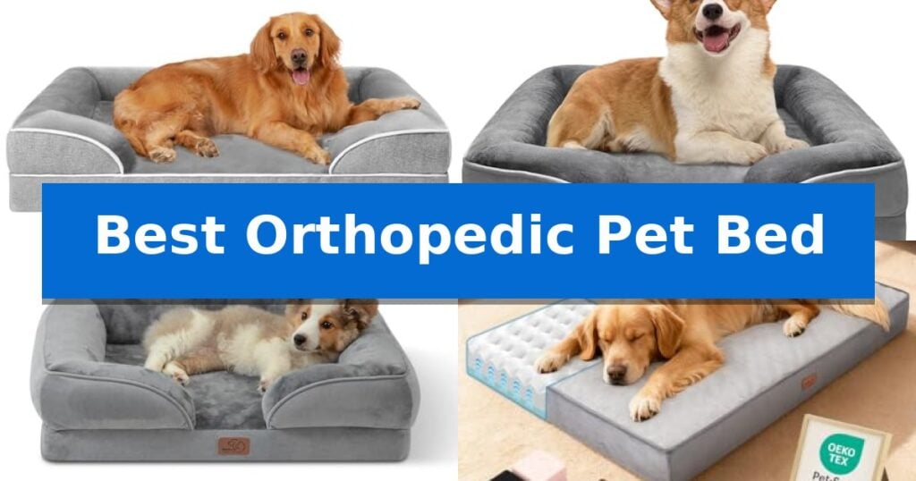 Best Orthopedic Pet Bed