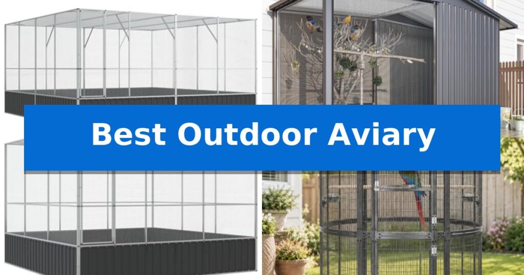 Best Outdoor Aviary