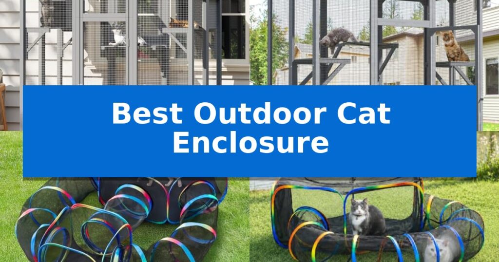 Best Outdoor Cat Enclosure