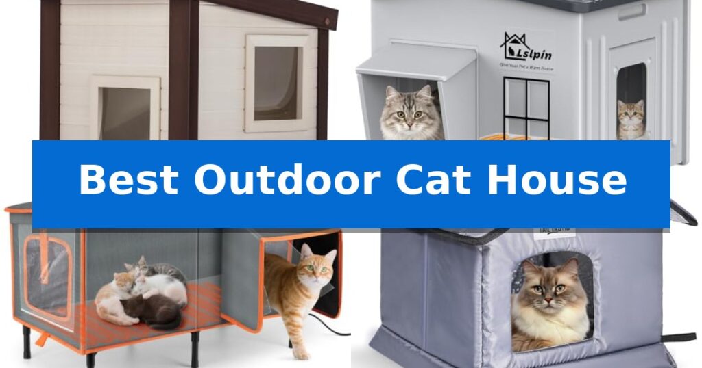 Best Outdoor Cat House