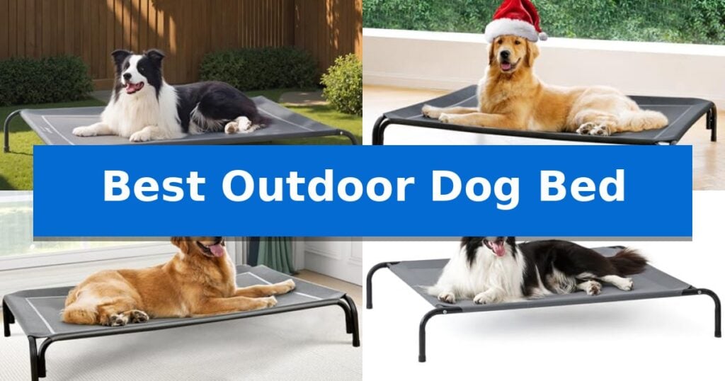 Best Outdoor Dog Bed