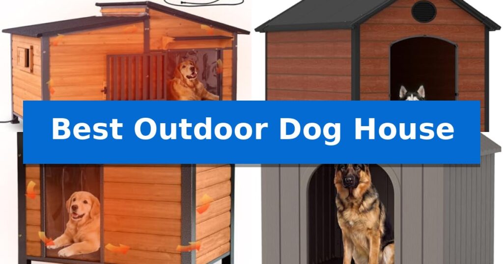Best Outdoor Dog House
