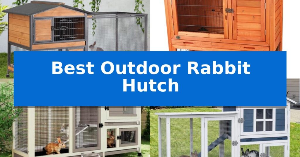 Best Outdoor Rabbit Hutch