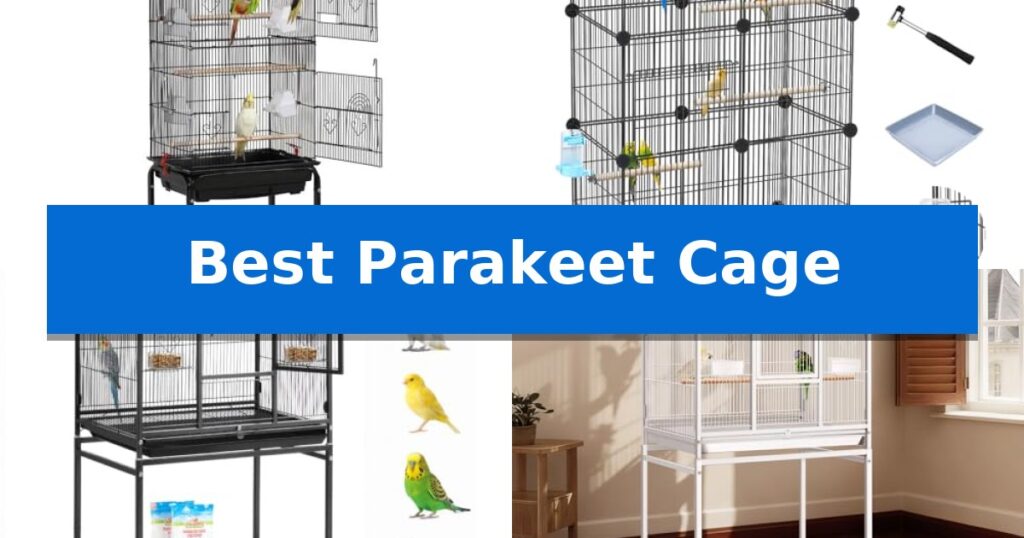 Best Parakeet Cage