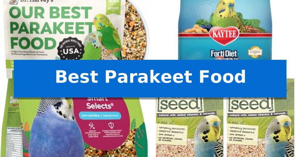 Best Parakeet Food