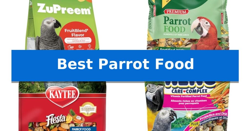 Best Parrot Food