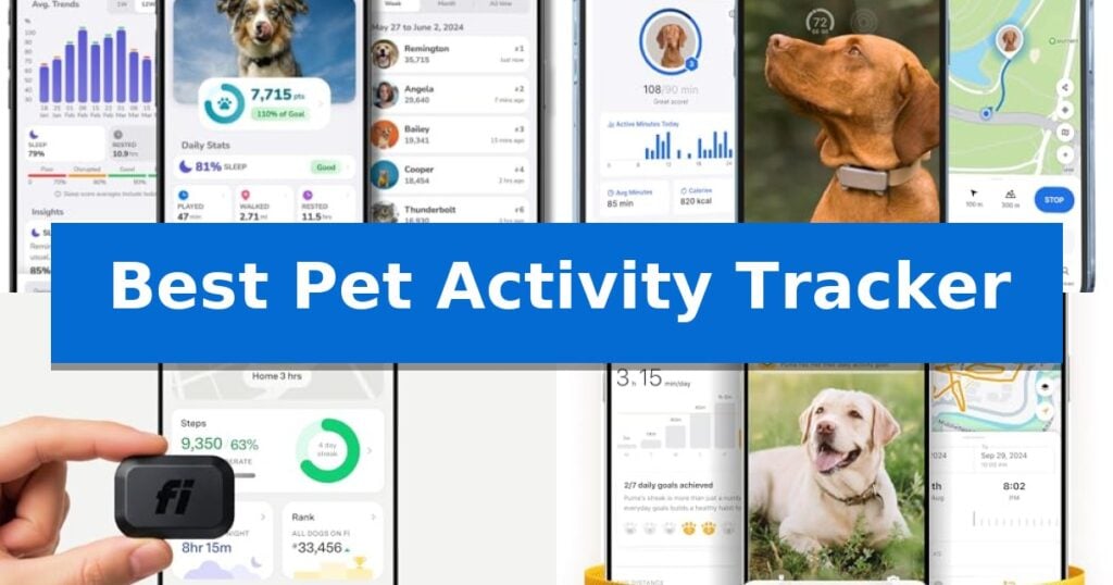 Best Pet Activity Tracker