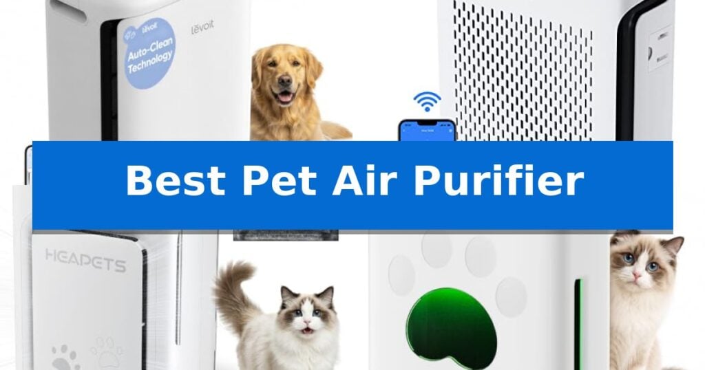 Best Pet Air Purifier
