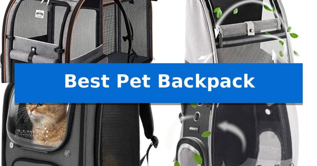 Best Pet Backpack