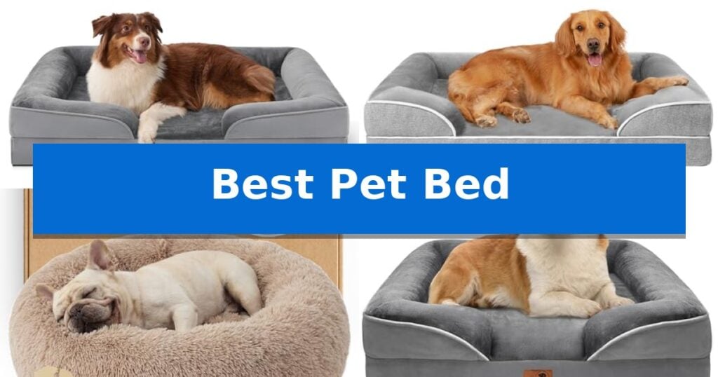 Best Pet Bed