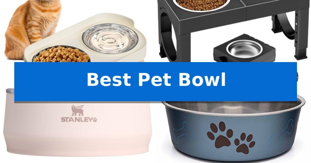 Best Pet Bowl
