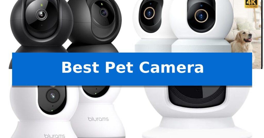 Best Pet Camera