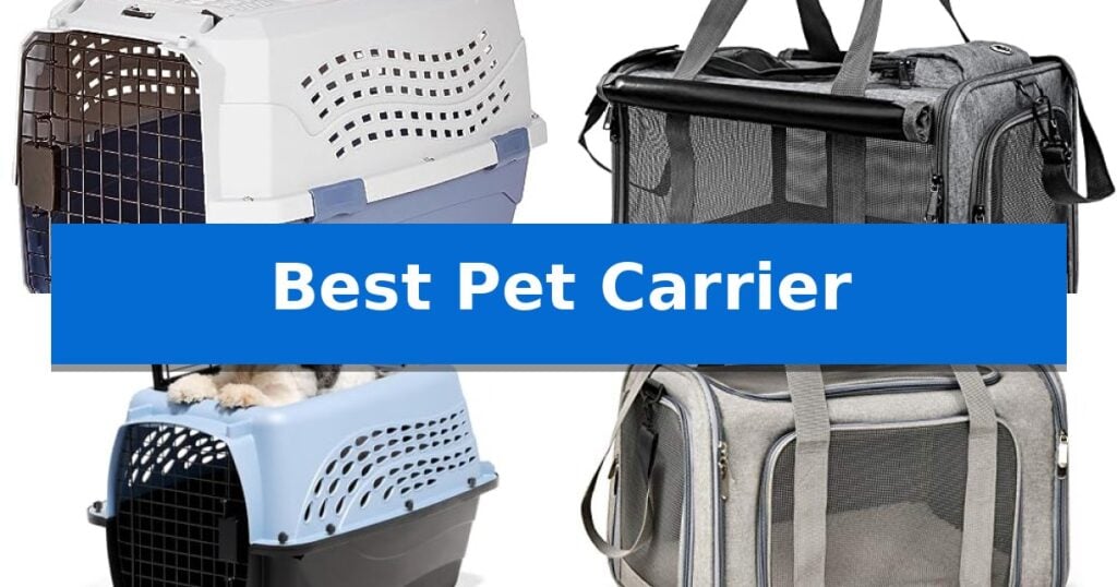 Best Pet Carrier