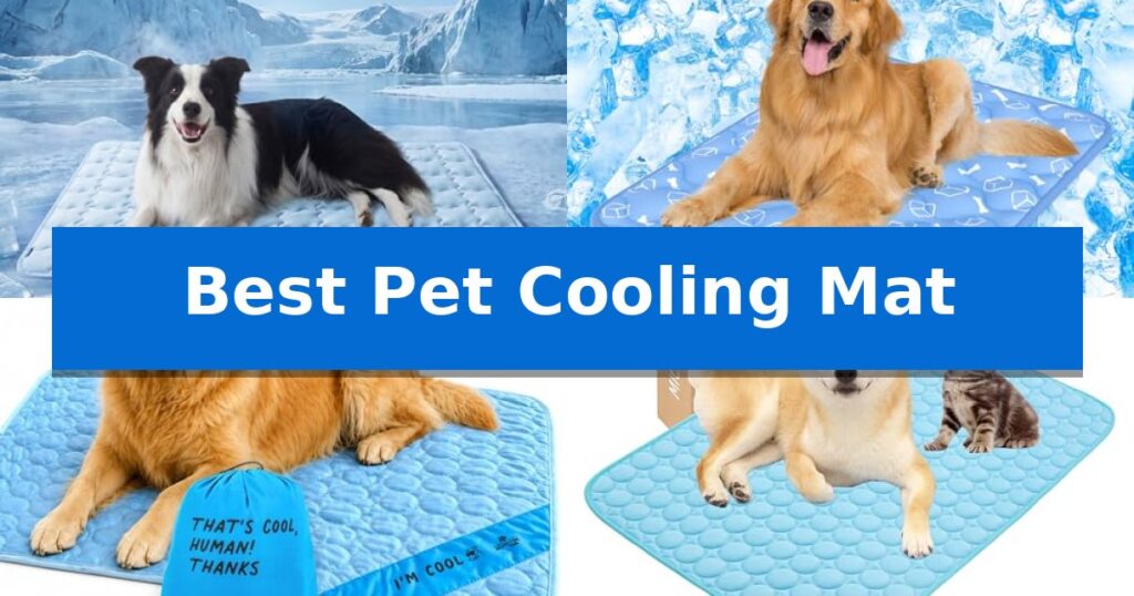 Best Pet Cooling Mat