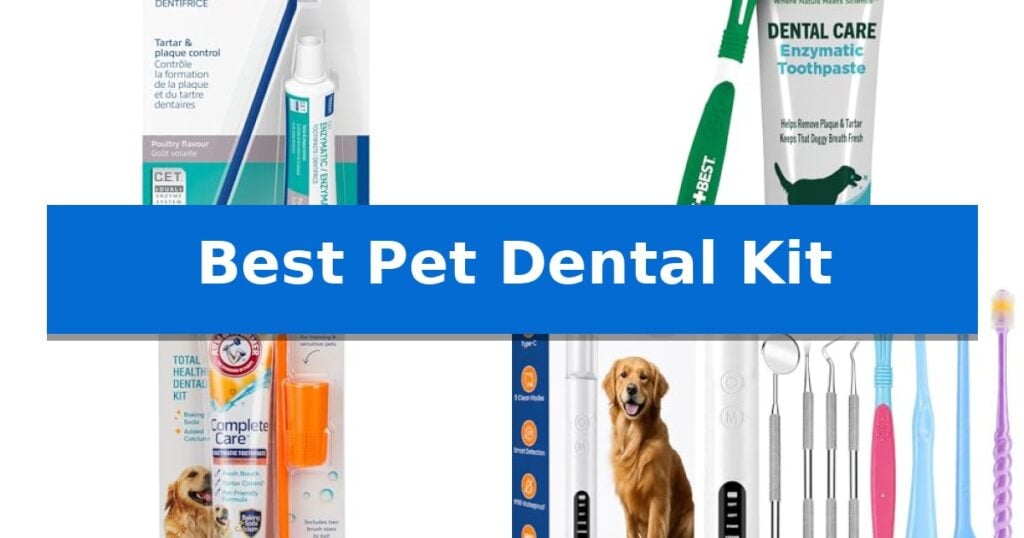 Best Pet Dental Kit