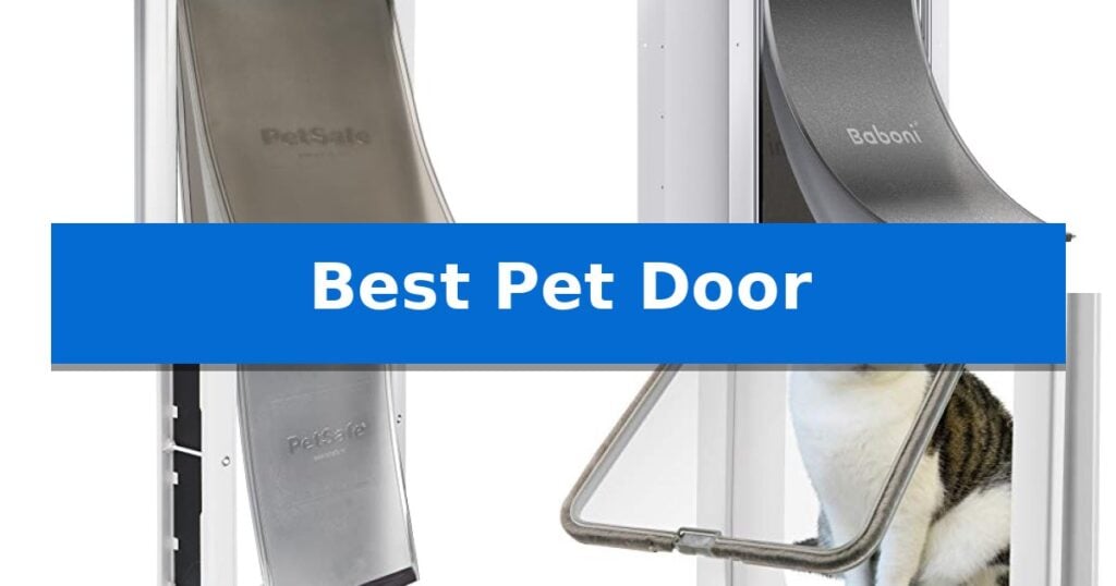 Best Pet Door