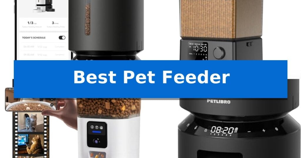 Best Pet Feeder