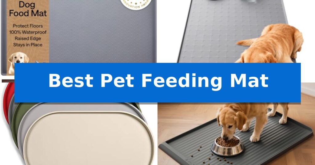 Best Pet Feeding Mat