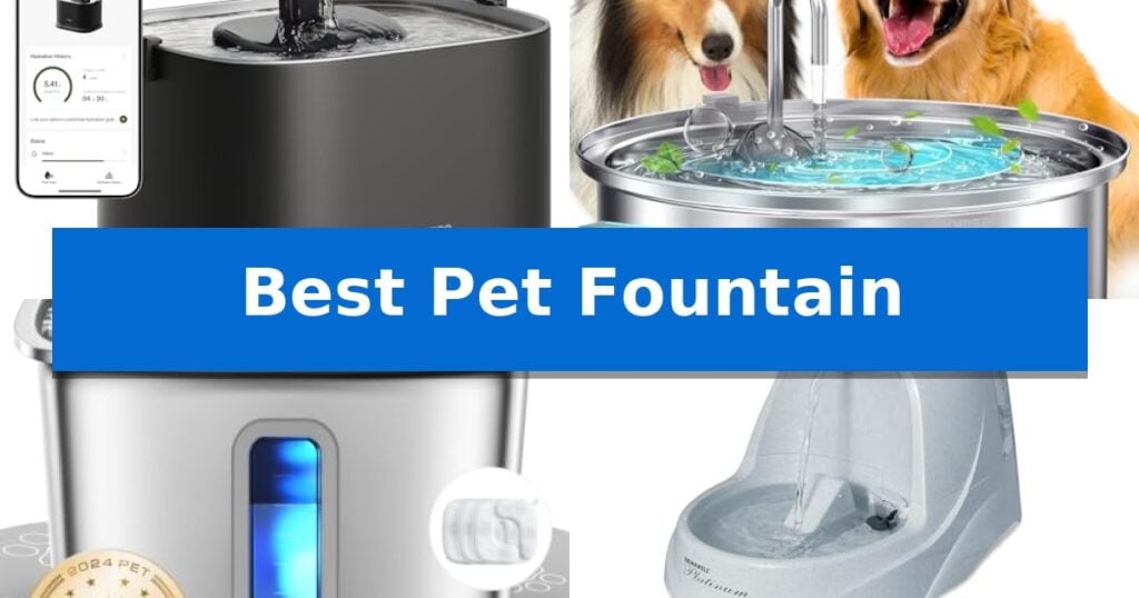 Best Pet Fountain