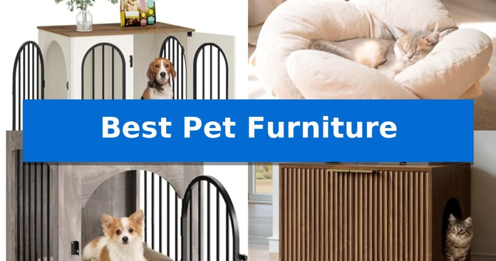 Best Pet Furniture