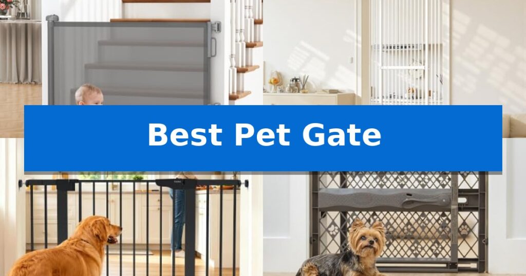 Best Pet Gate
