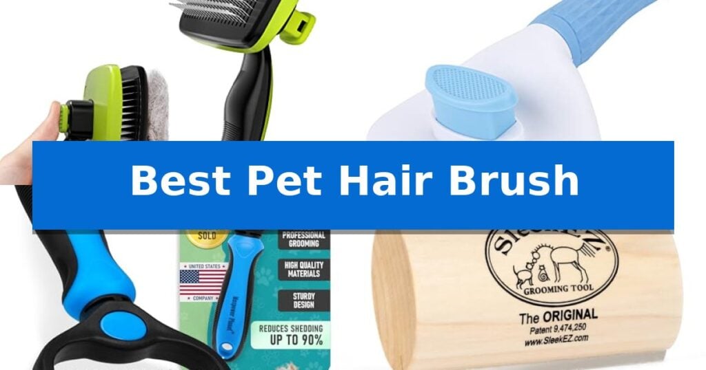 Best Pet Hair Brush