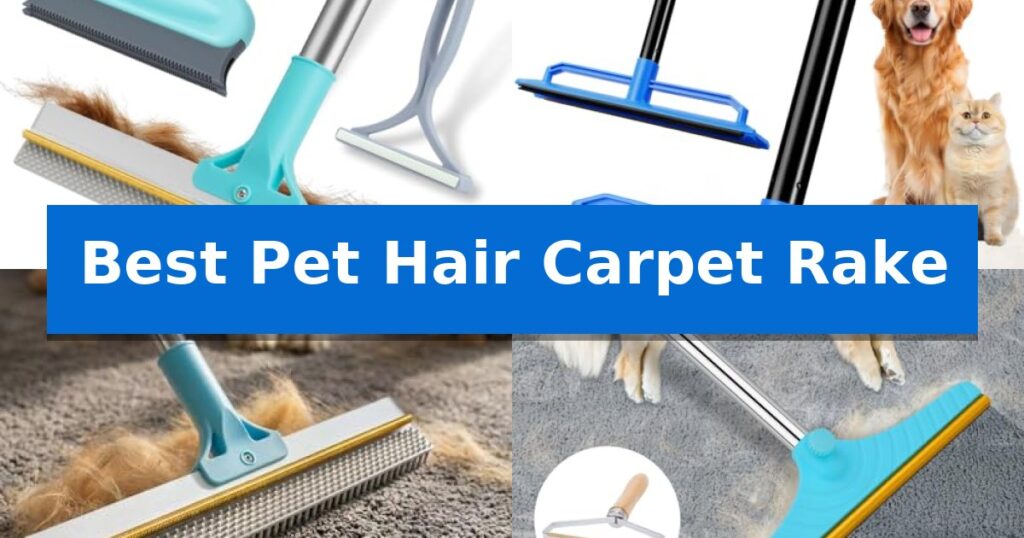 Best Pet Hair Carpet Rake