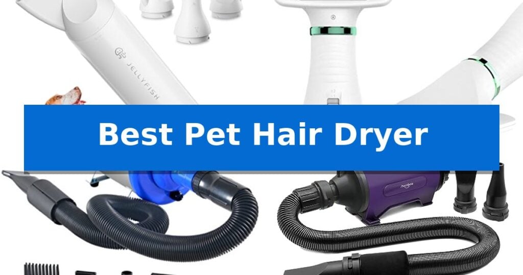Best Pet Hair Dryer