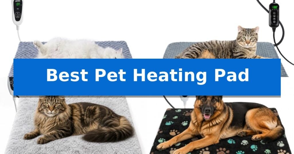 Best Pet Heating Pad