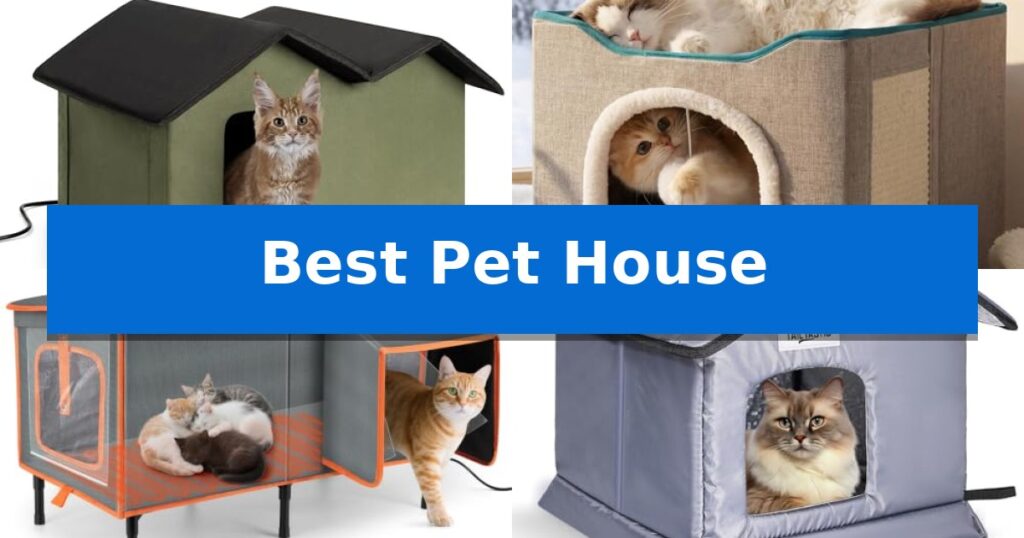 Best Pet House