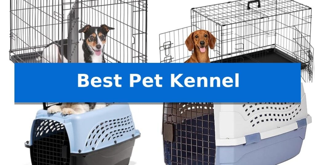Best Pet Kennel