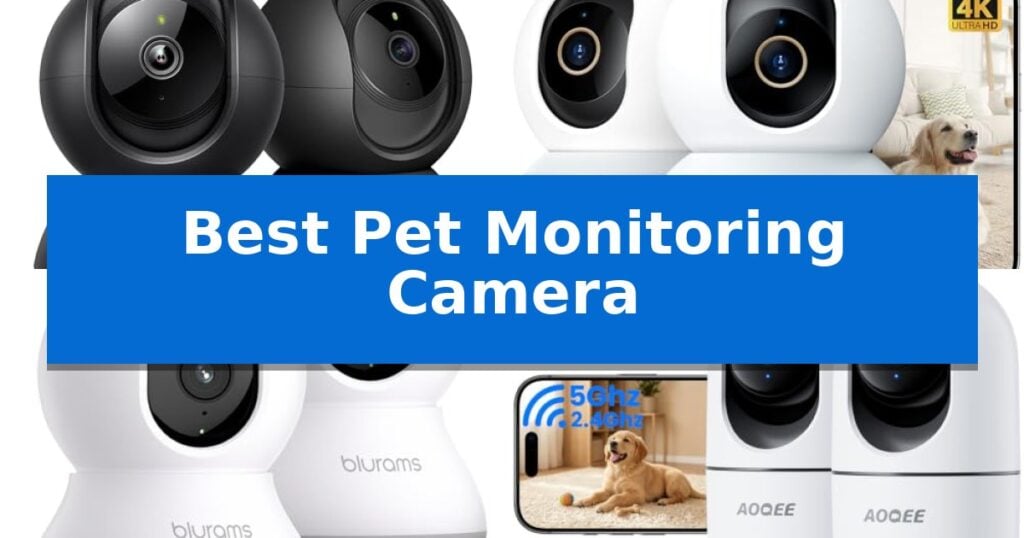 Best Pet Monitoring Camera
