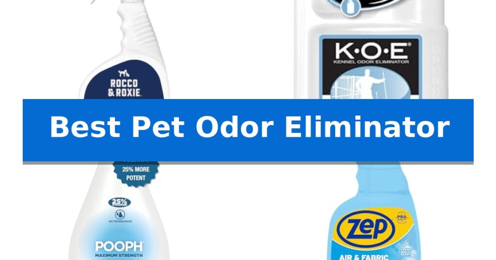 Best Pet Odor Eliminator