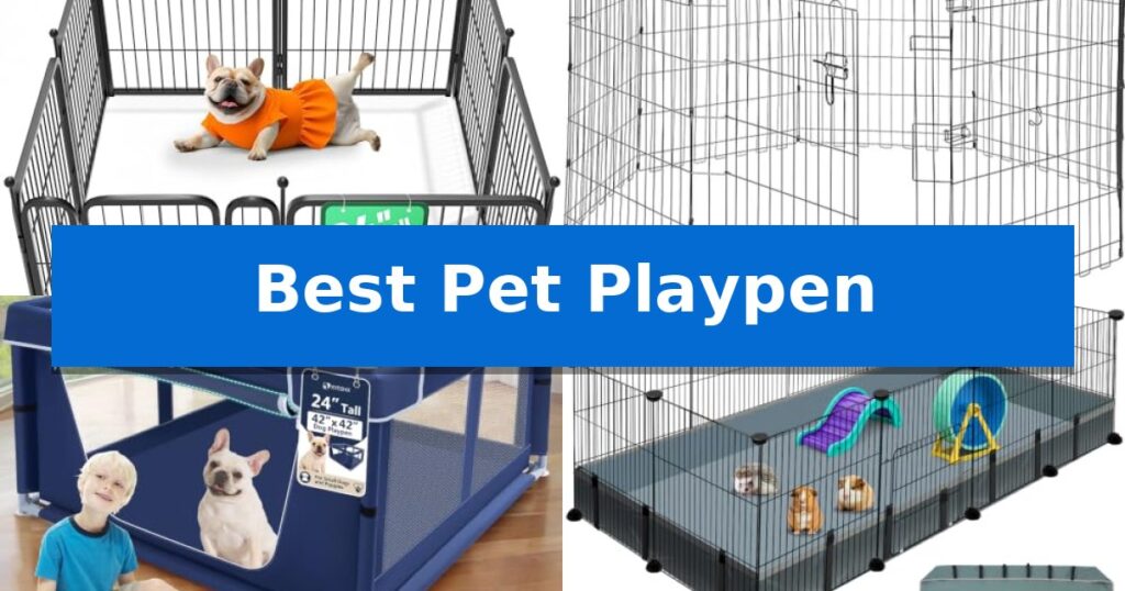 Best Pet Playpen